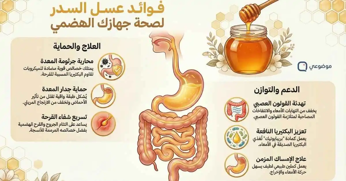 التأثير المباشر على المعدة والجهاز الهضمي