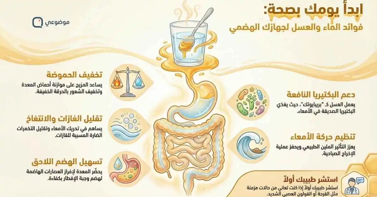 تحسين الهضم وصحة الجهاز الهضمي