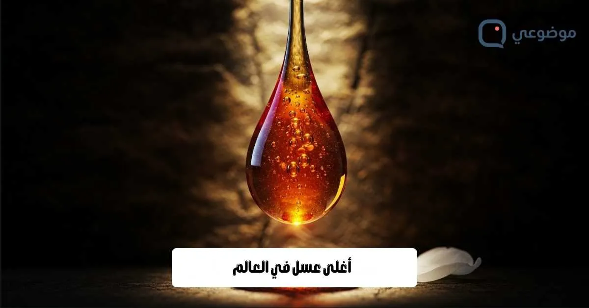 أغلى عسل في العالم