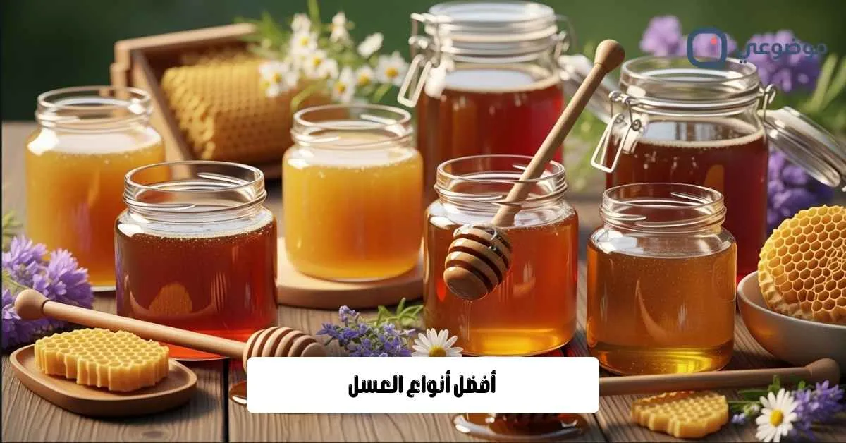أفضل أنواع العسل