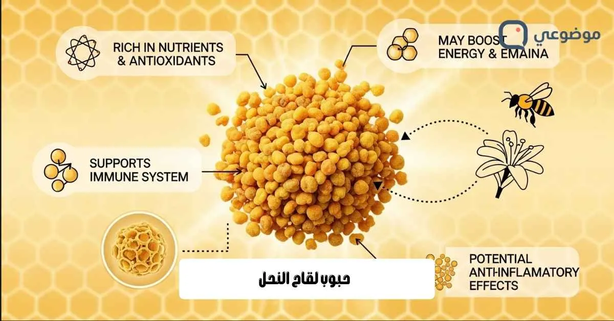 حبوب لقاح النحل