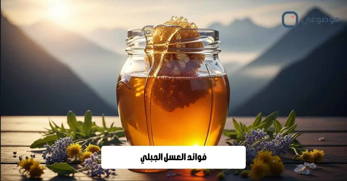 فوائد العسل الجبلي
