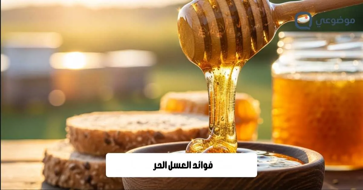 فوائد العسل الحر