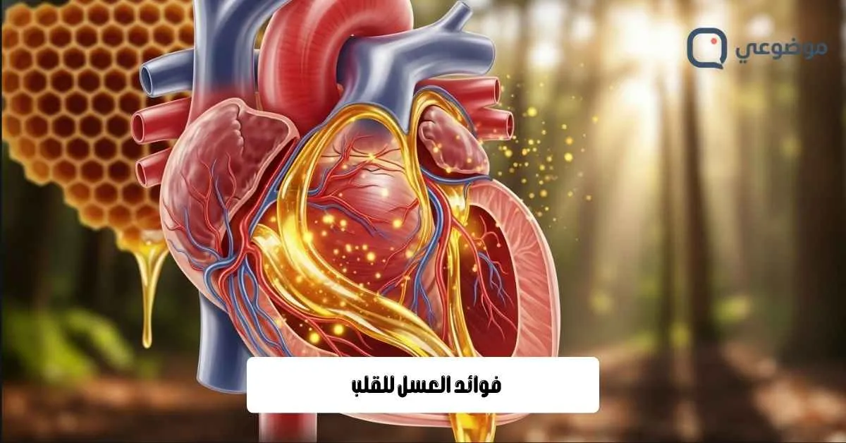 فوائد العسل للقلب
