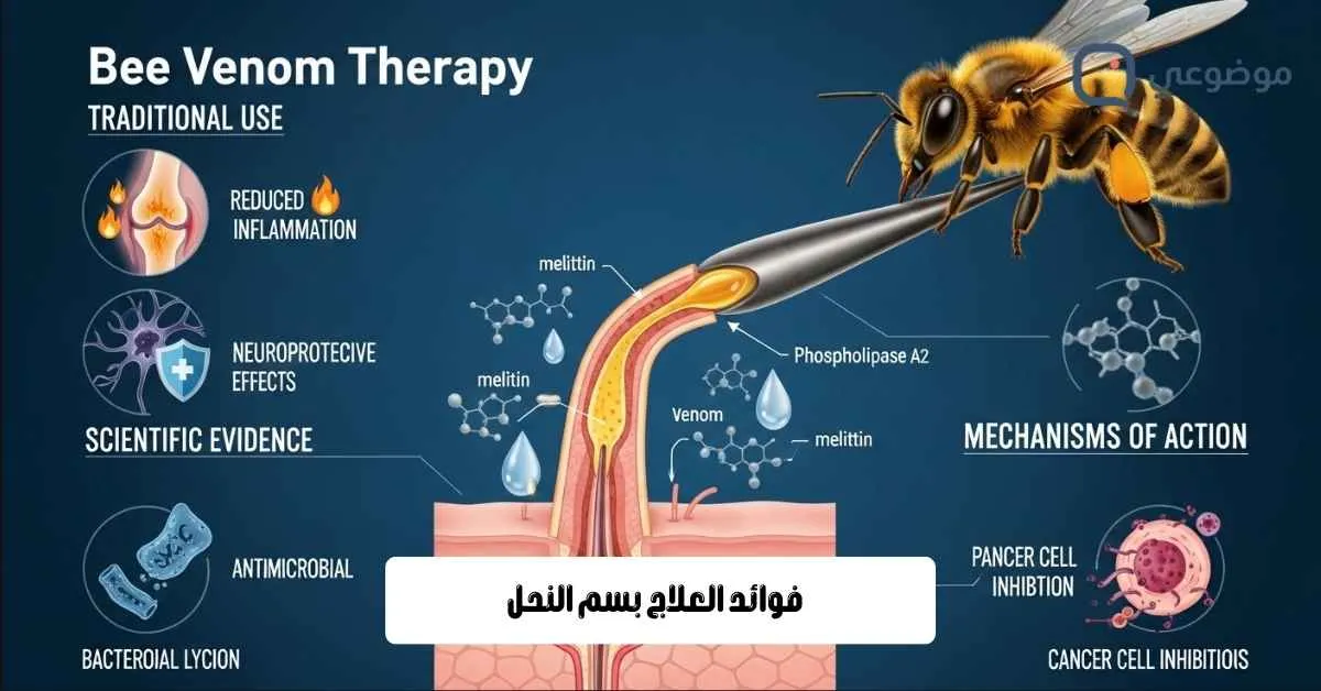 فوائد العلاج بسم النحل