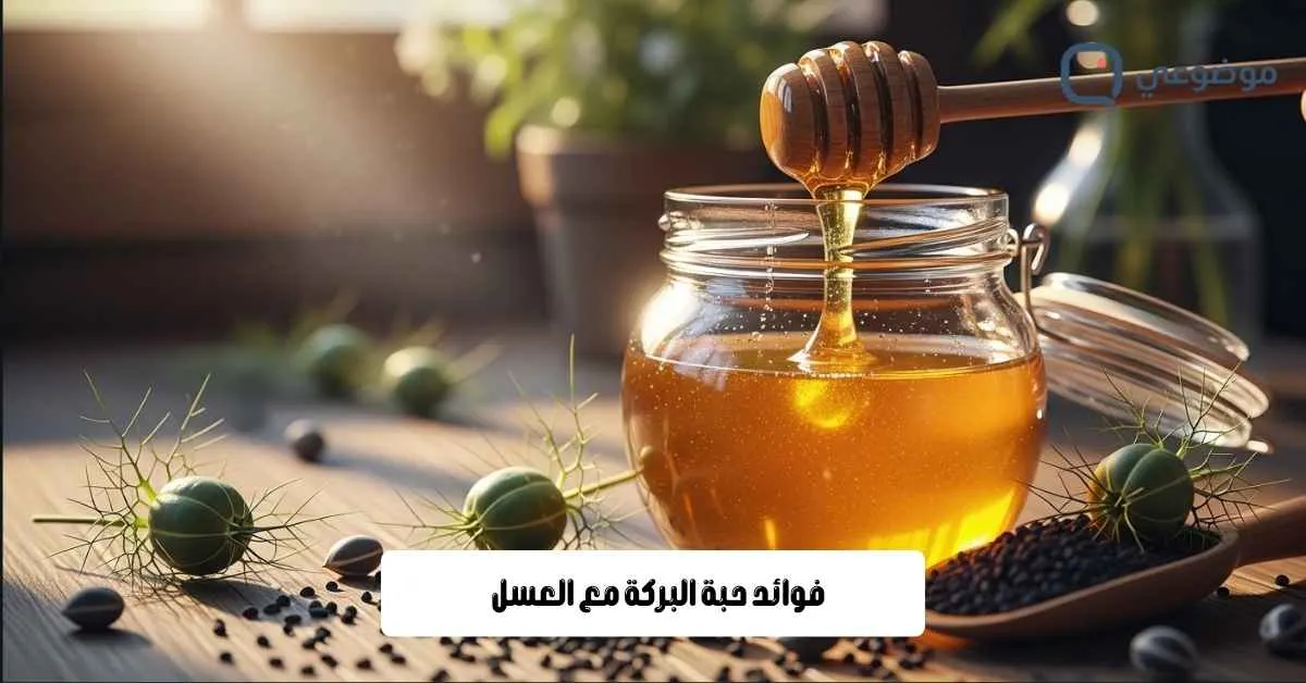 فوائد حبة البركة مع العسل