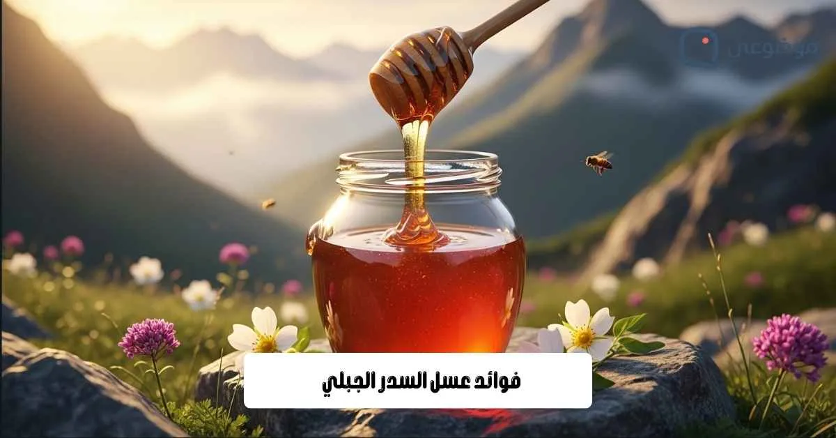 فوائد عسل السدر الجبلي
