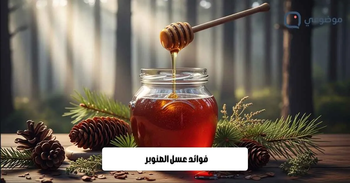 فوائد عسل الصنوبر