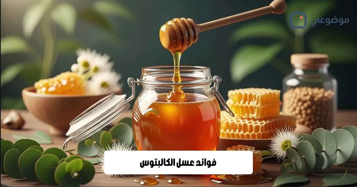 فوائد عسل الكالبتوس