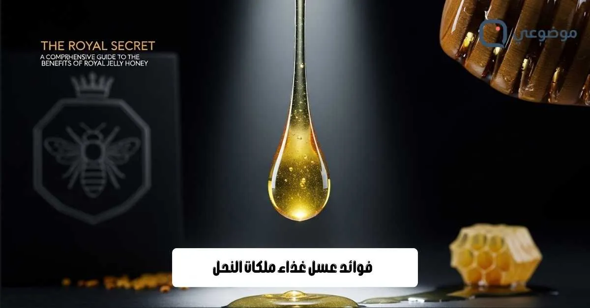 فوائد عسل غذاء ملكات النحل