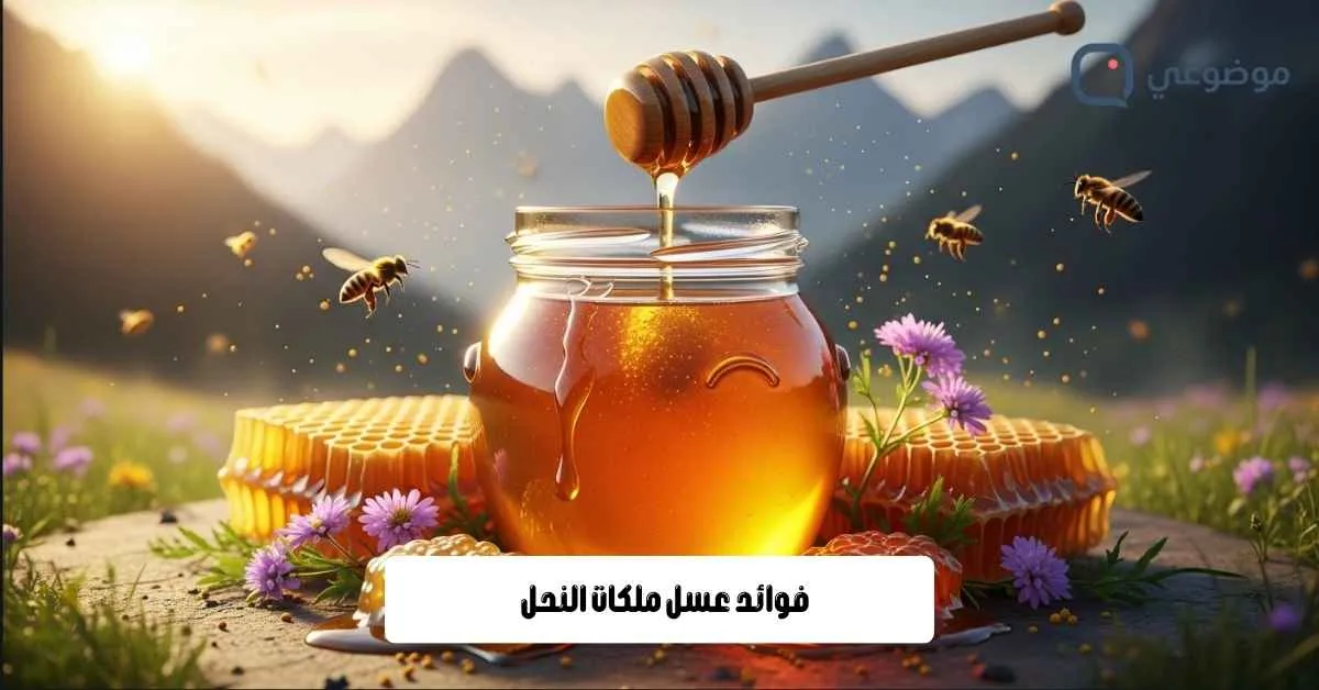 فوائد عسل ملكات النحل