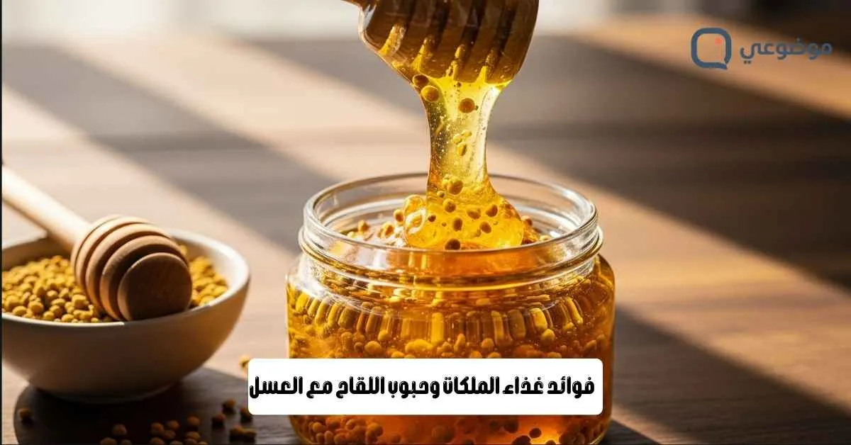 فوائد غذاء الملكات وحبوب اللقاح مع العسل
