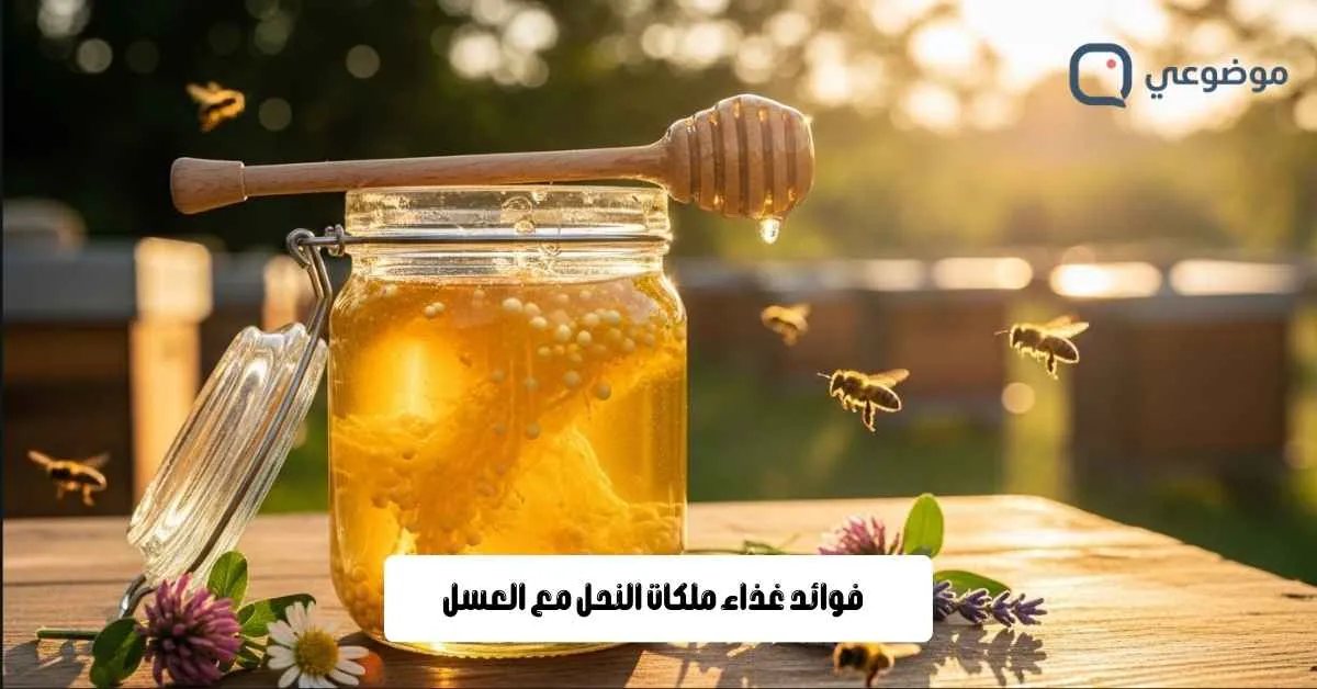 فوائد غذاء ملكات النحل مع العسل