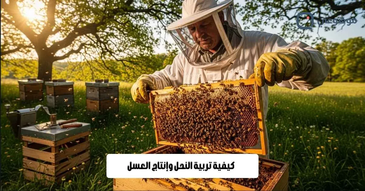 كيفية تربية النحل وإنتاج العسل