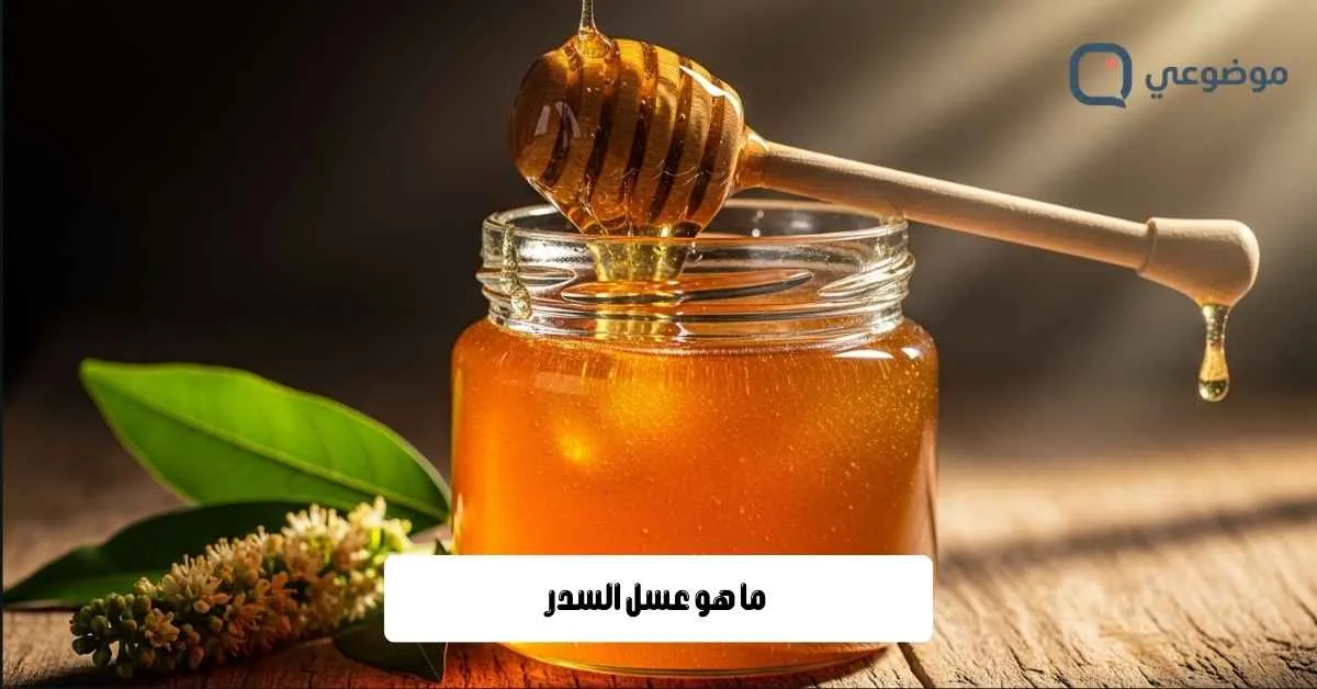 ما هو عسل السدر