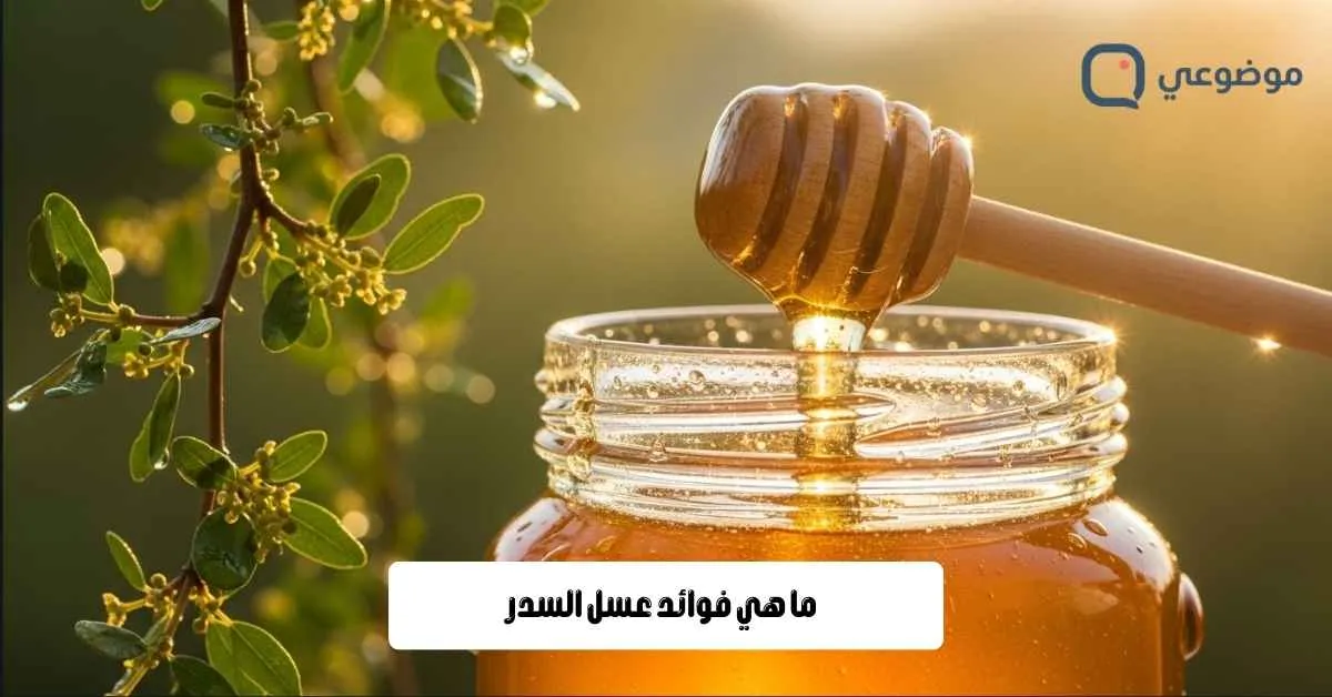 ما هي فوائد عسل السدر