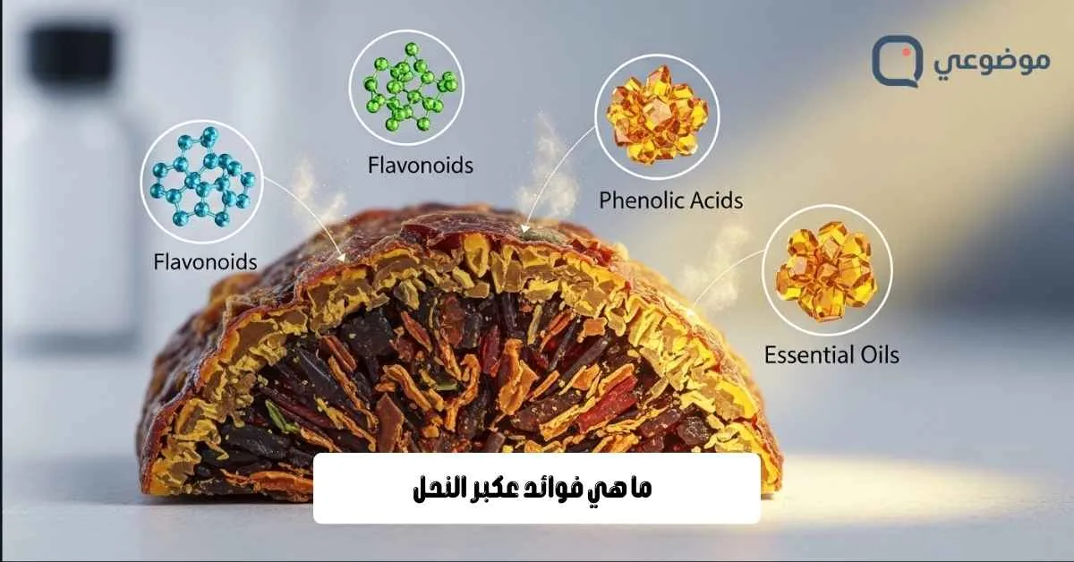 ما هي فوائد عكبر النحل