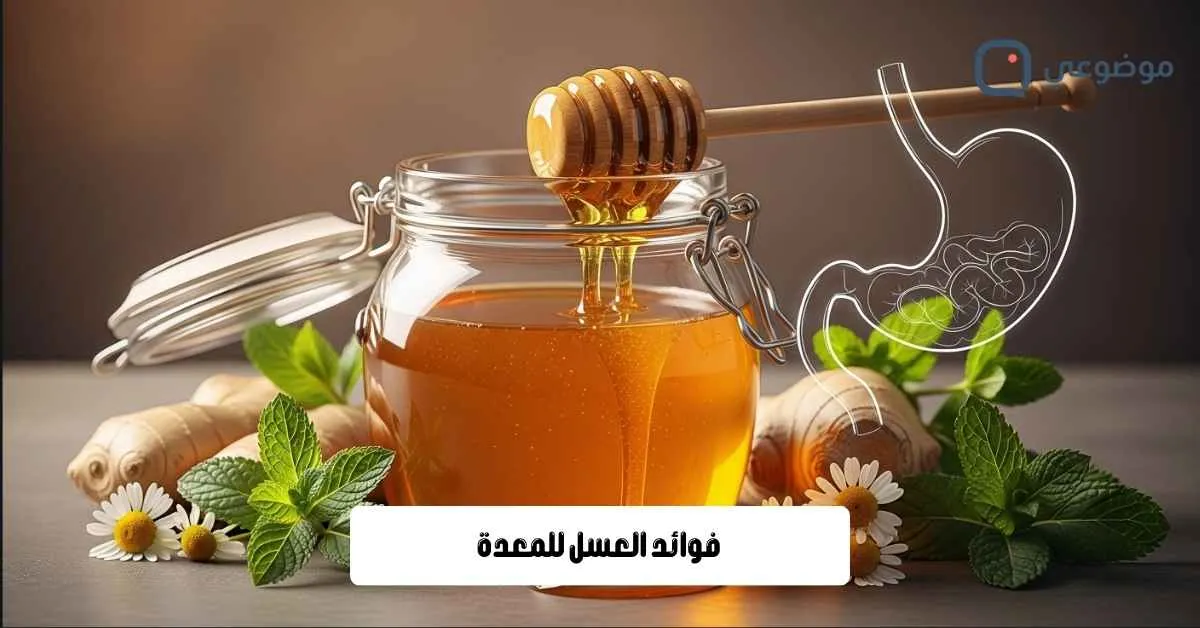 فوائد العسل للمعدة
