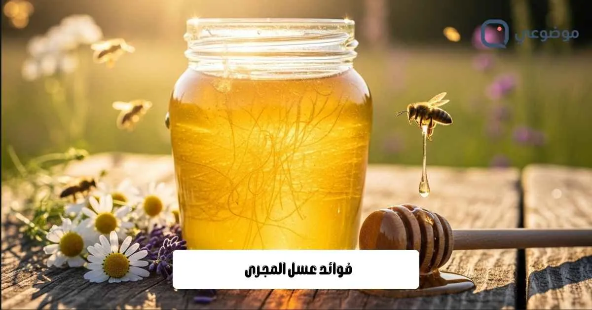 فوائد عسل المجرى