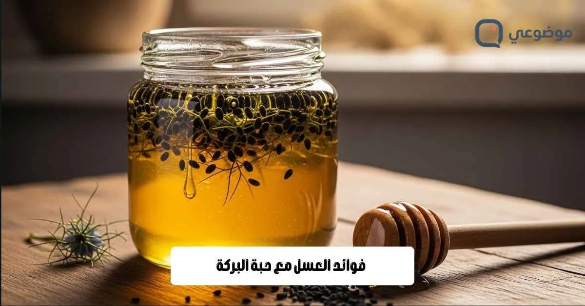 فوائد العسل مع حبة البركة