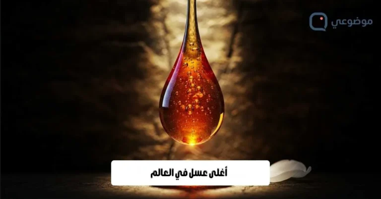 أغلى عسل في العالم