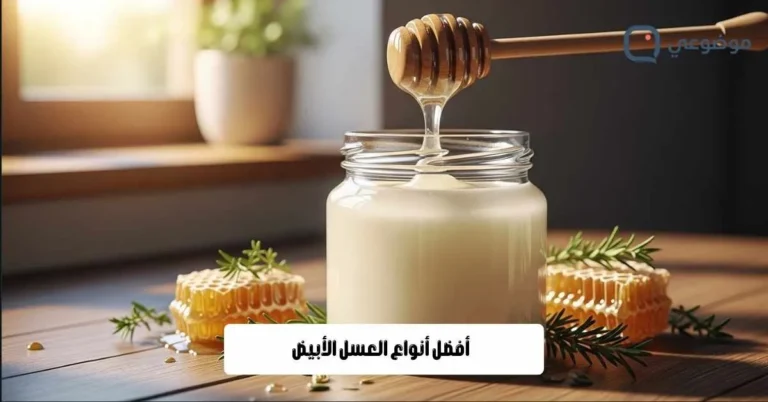 أفضل أنواع العسل الأبيض