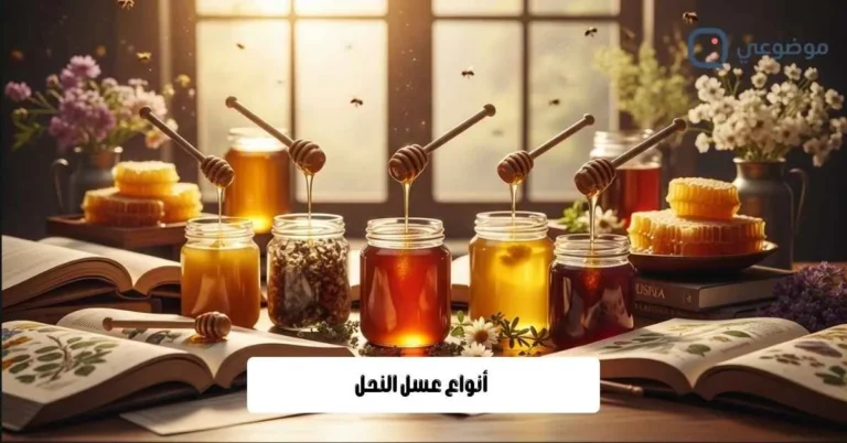 أنواع عسل النحل