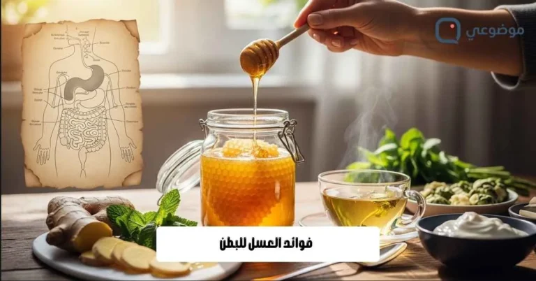 فوائد العسل للبطن