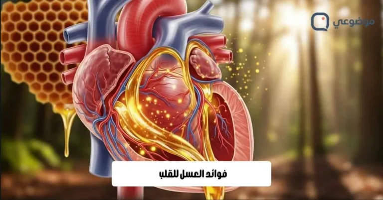 فوائد العسل للقلب