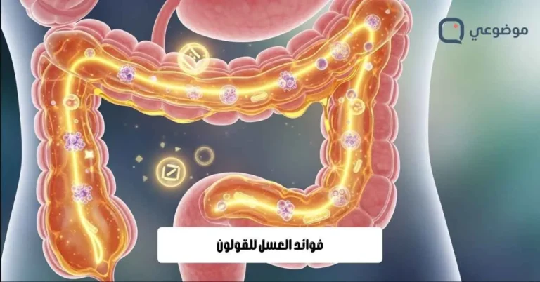 فوائد العسل للقولون