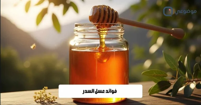 فوائد عسل السدر