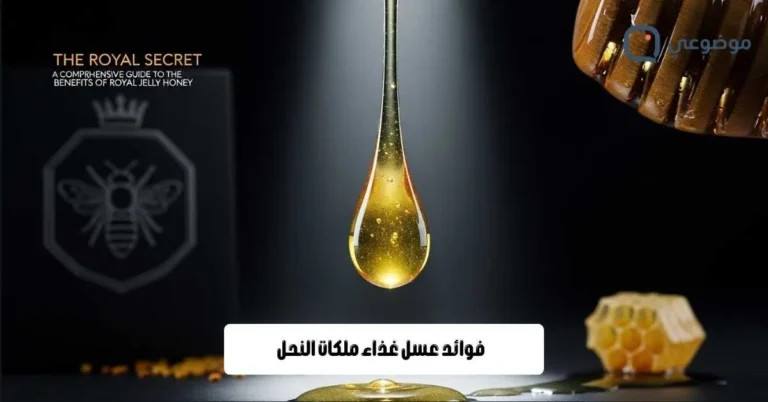 فوائد عسل غذاء ملكات النحل