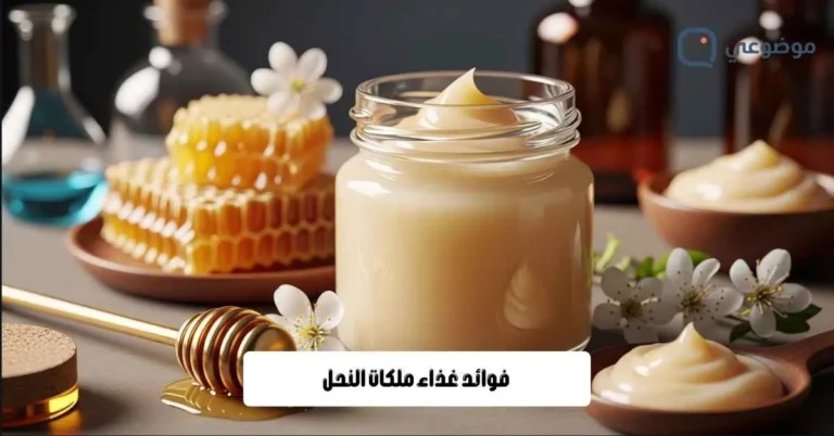 فوائد غذاء ملكات النحل