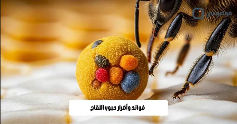 فوائد وأضرار حبوب اللقاح