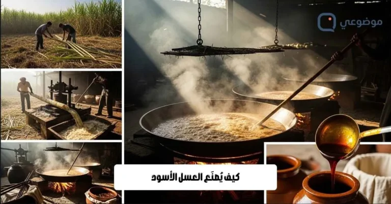 كيف يُصنَع العسل الأسود