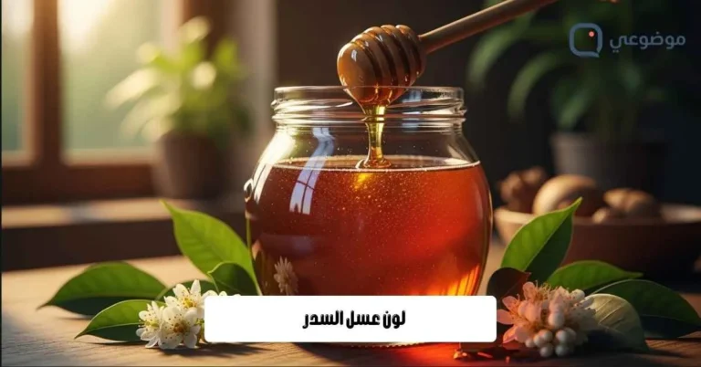 لون عسل السدر