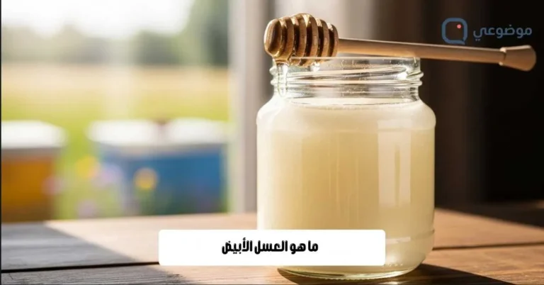 ما هو العسل الأبيض
