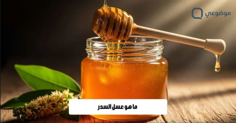 ما هو عسل السدر