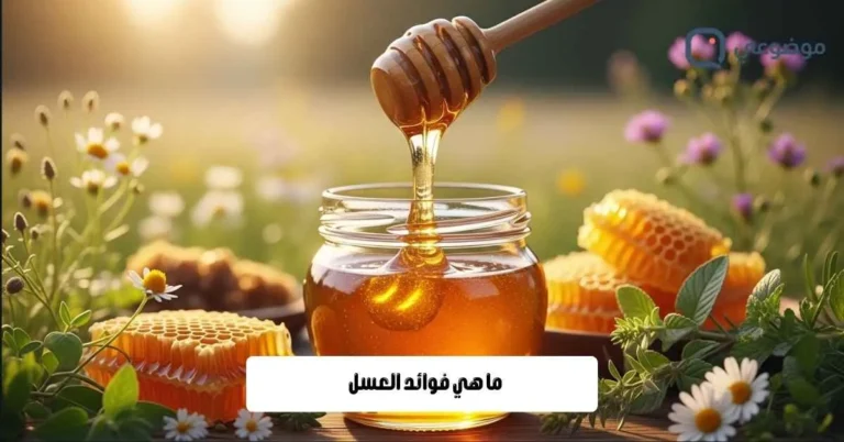 ما هي فوائد العسل
