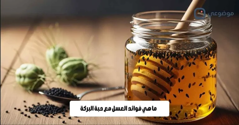 ما هي فوائد العسل مع حبة البركة