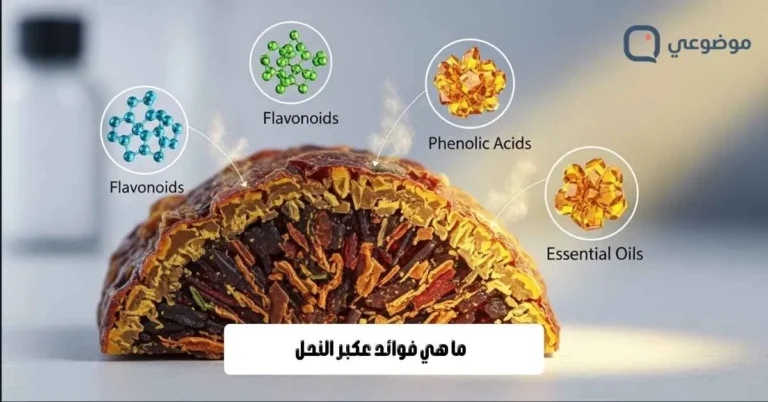 ما هي فوائد عكبر النحل